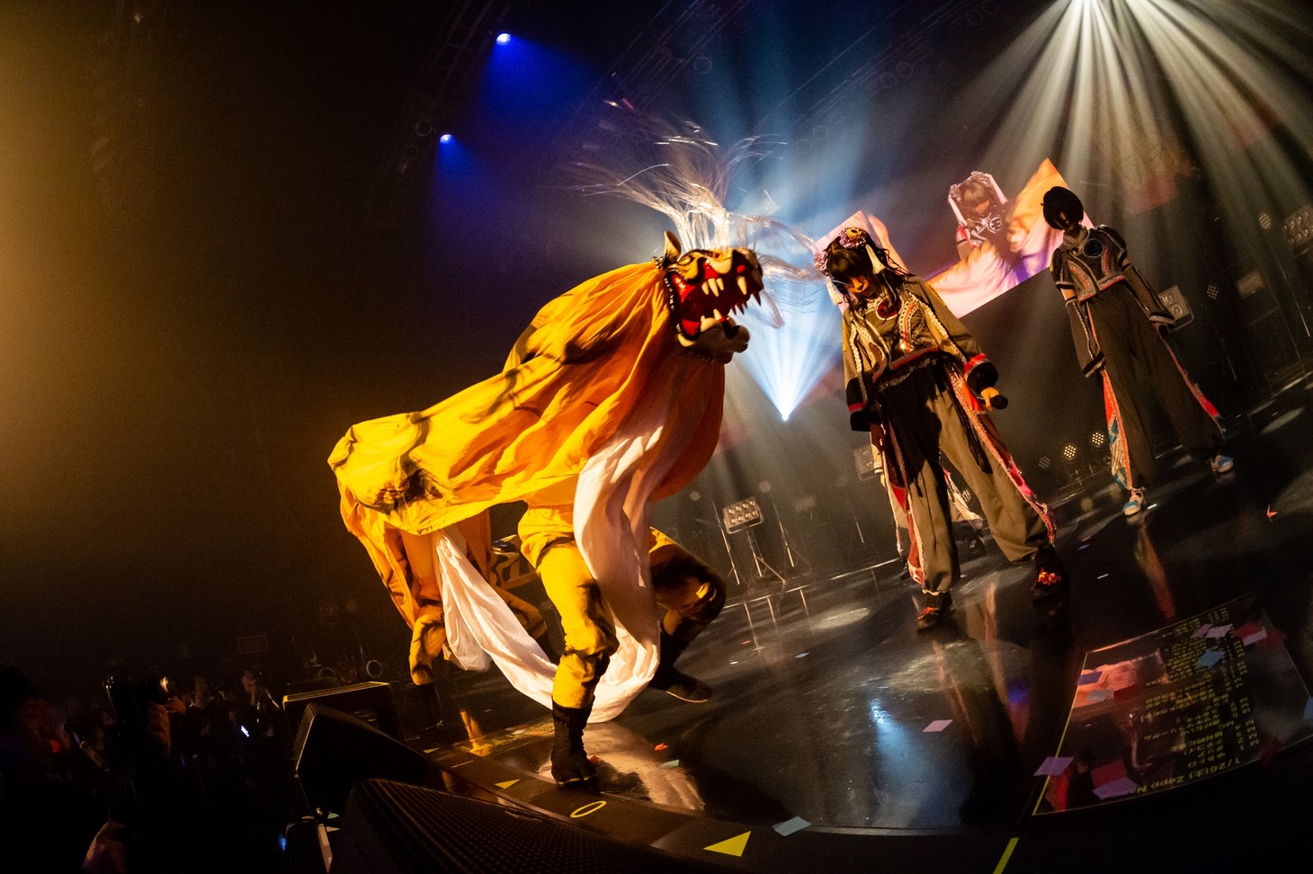 虎（Photo by shinz）