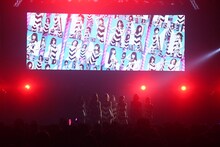 predia（撮影：古川朋久）