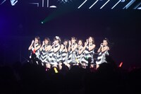 predia（撮影：古川朋久）