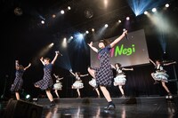 「エビネギ the FINAL～二次会と打ち上げのあいだ～」アンコールの様子。