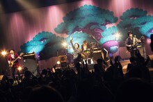 フラワーカンパニーズ（撮影：新保勇樹）