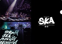 「2018 Tour『SKANKING JAPAN』“スカフェス in 城ホール” 2018.12.24」タワーレコード購入者特典クリアファイルサンプル画像