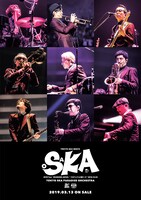 「2018 Tour『SKANKING JAPAN』“スカフェス in 城ホール” 2018.12.24」その他店舗購入者特典ポスターサンプル画像