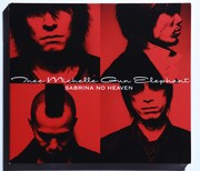 THEE MICHELLE GUN ELEPHANT アルバム「SABRINA NO HEAVEN」ジャケット。2003年撮影。（写真提供：アミタマリ）