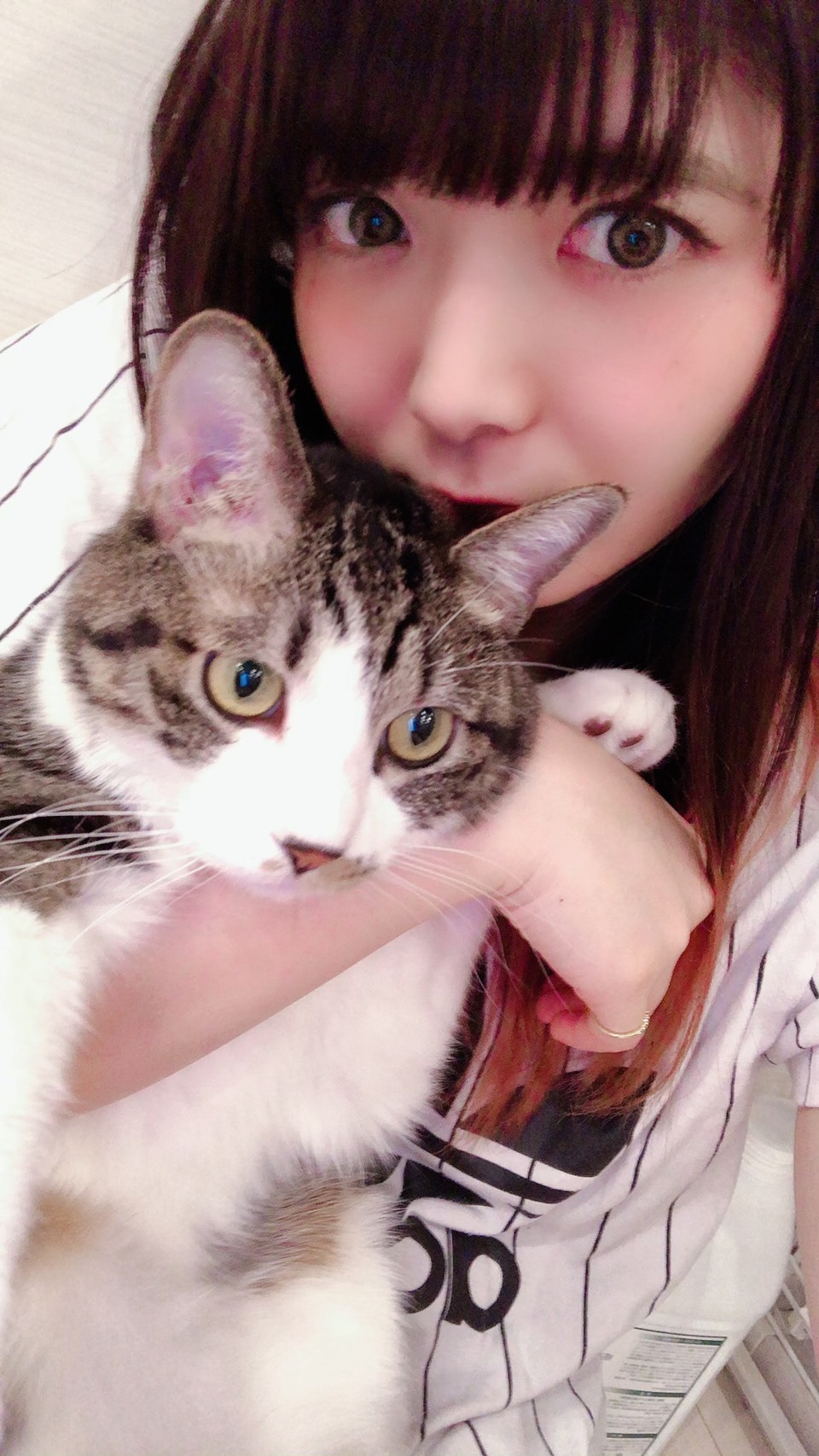小鳩ミクとトラ男。
