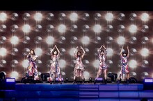 「Little Glee Monster Live in BUDOKAN 2019～Calling Over!!!!!」の様子。（撮影：キセキミチコ / 写真は2月5日公演時のもの）
