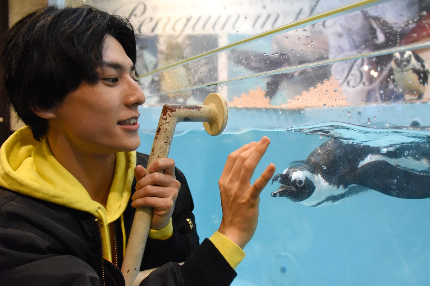 ユースケとペンギン。