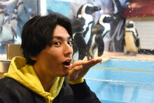 ユースケ（手前）とペンギン。