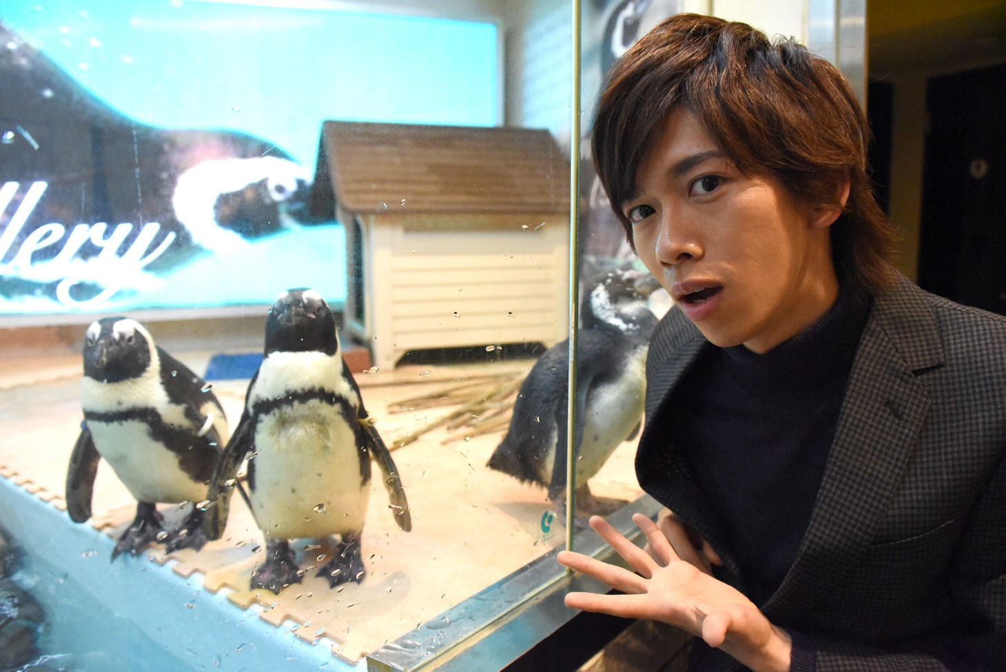 ペンギンとリョウガ。