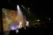 amiinA「Falconia ~touch on the horizon~」の様子。