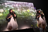 amiinA「Falconia ～touch on the horizon～」の様子。