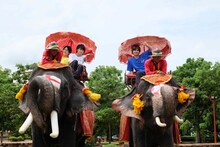 「超特急と行く！食べ鉄の旅 タイ編」より。