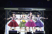 「ニッポン放送 ももいろクローバーZ ももクロくらぶxoxo ～バレンタイン DE NIGHT だぁ～Z！ 2019」2日目公演の様子。（写真提供：ニッポン放送）