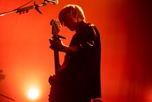 ひばりくん（G / 女王蜂）（撮影：釘野孝宏）