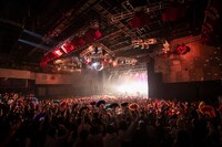 女王蜂のライブの様子。（撮影：釘野孝宏）