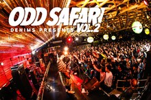 「DENIMS pre "ODD SAFARI vol.2"」メインビジュアル