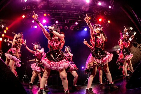 虹のコンキスタドール（撮影：石崎祥子）