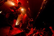 SHADOWS（撮影：半田安政［showcase］）