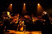 リアクション ザ ブッタ「リアクション ザ ブッタTour2018～Mini Album『Single Focus』 Release Tour～」最終公演の様子。（撮影：白石達也）