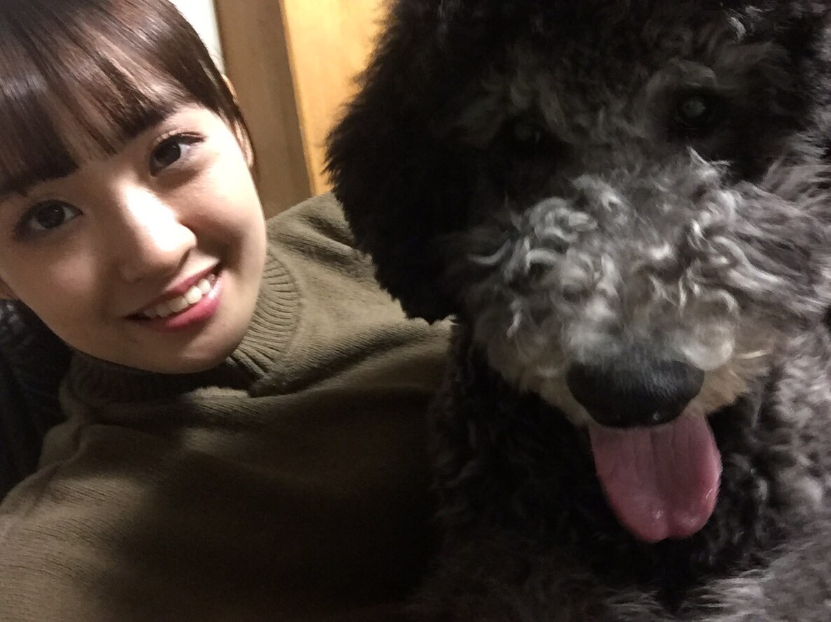 咲良菜緒（TEAM SHACHI）× 愛犬のポール