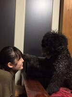 咲良菜緒とポール。