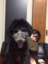 咲良菜緒とポール。