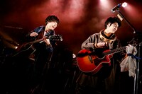 さくらしめじ（撮影：小坂茂雄）