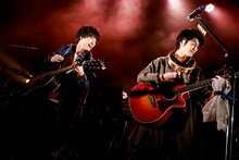 さくらしめじ（撮影：小坂茂雄）