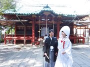 ラッキーオールドサン