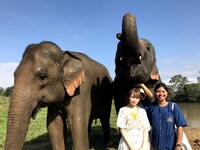 TBS系「世界ふしぎ発見！」2019年3月2日放送回よりミステリーハンターに初挑戦する秋元真夏。（c)TBS