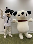 むぎ(猫)「ビクターロック祭り」で猫飯をプロデュース