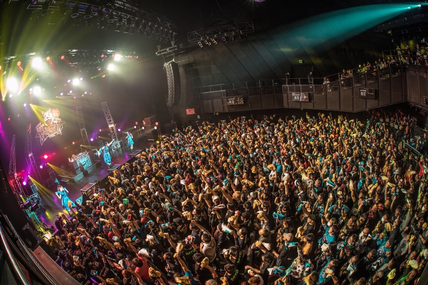 あゆみくりかまき「ボクらの熊魂2019～お前もまたぎにしてやろうか!!TOUR～」東京・マイナビBLITZ赤坂公演の様子。（写真提供：SMEレコーズ）