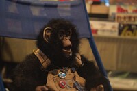 SITE（Ghetto Hollywood）