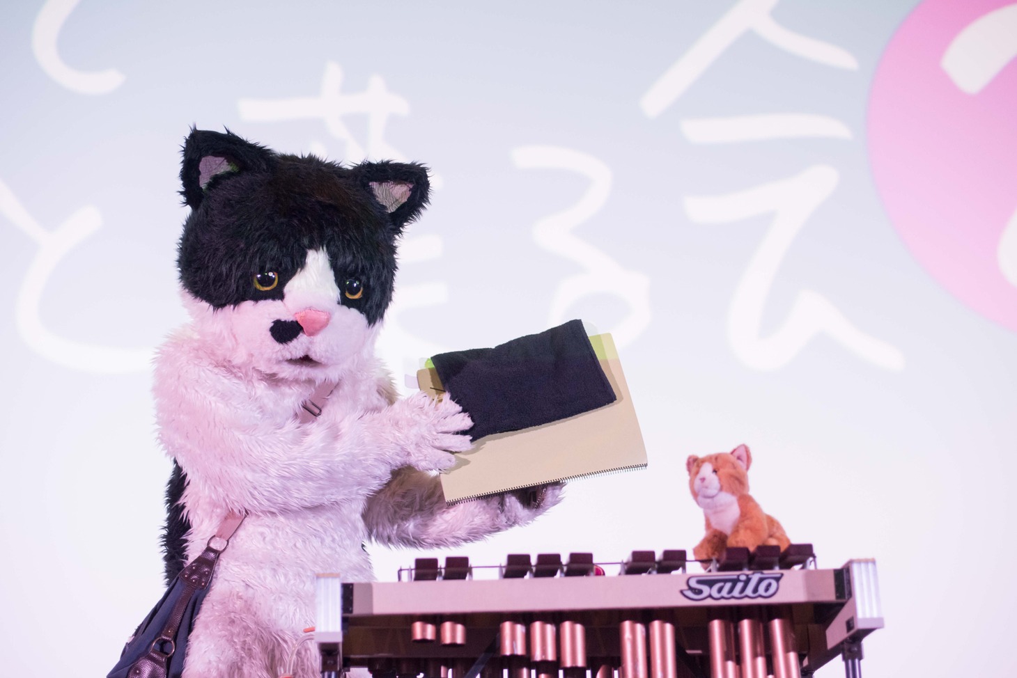 「むぎ（猫）メジャーデビュー直前！猫の日ミニライブ～歌ってちょっとしゃべる会2～」の様子。（撮影：小野正博）