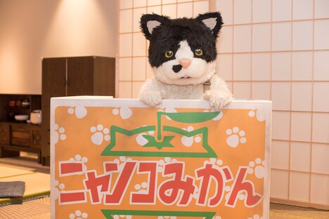 「むぎ（猫）メジャーデビュー直前！猫の日ミニライブ～歌ってちょっとしゃべる会2～」の様子。（撮影：小野正博）