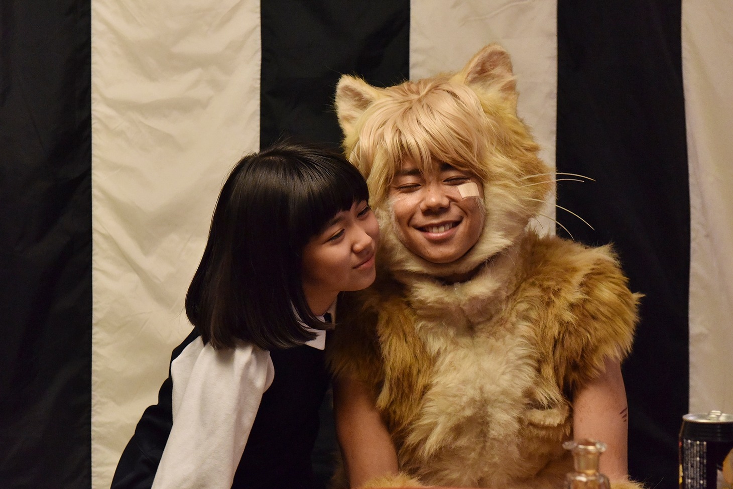 映画「トラさん～僕が猫になったワケ～」のワンシーン。 (c)板羽皆／集英社・2019「トラさん」製作委員会