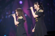 乃木坂46「7th YEAR BIRTHDAY LIVE DAY2」の様子。