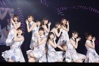 乃木坂46「7th YEAR BIRTHDAY LIVE DAY3」の様子。