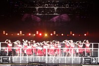 乃木坂46「7th YEAR BIRTHDAY LIVE DAY3」の様子。