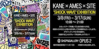 SITEも参加する展覧会「KANE×AMES×SITE "SHOCK WAVE" EXHIBITION」のフライヤー。2019年3月8日（金）から3月17日（日）にかけて神奈川・SHOP & GALLERY OPUS 2にて開催。