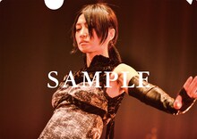 鬼束ちひろ「HUSH HUSH LOUD」そのほか店舗購入者特典クリアファイルサンプル画像