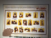 「TEAM SHACHI POP UP SHOP」の様子。
