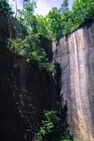 山形・瓜割石庭公園