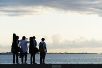 映画「小さな恋のうた」メインビジュアル