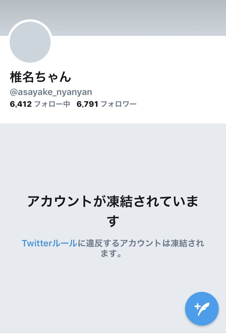 凍結された椎名ちゃん（Vo, G）のTwitter画面。