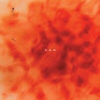 D.A.N.「Sonatine」アナログ12inchジャケット