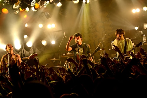 MONOEYES（撮影：半田安政［showcase］）