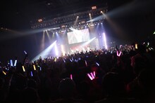 「妄想キャリブレーション LAST TOUR 2018/19 ～HOME～」の様子。撮影：チェリーマン）