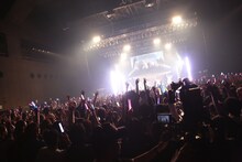 「妄想キャリブレーション LAST TOUR 2018/19 ～HOME～」の様子。撮影：チェリーマン）