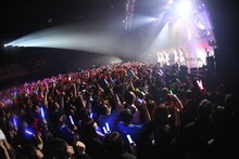 「妄想キャリブレーション LAST TOUR 2018/19 ～HOME～」の様子。撮影：チェリーマン）